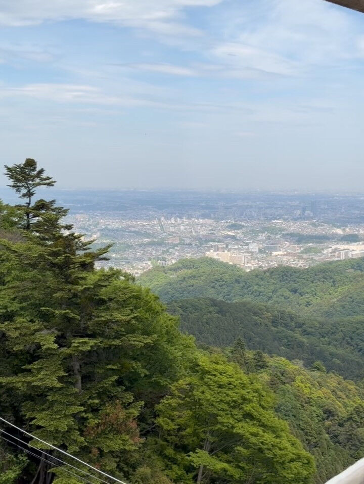 緑が映える高尾山